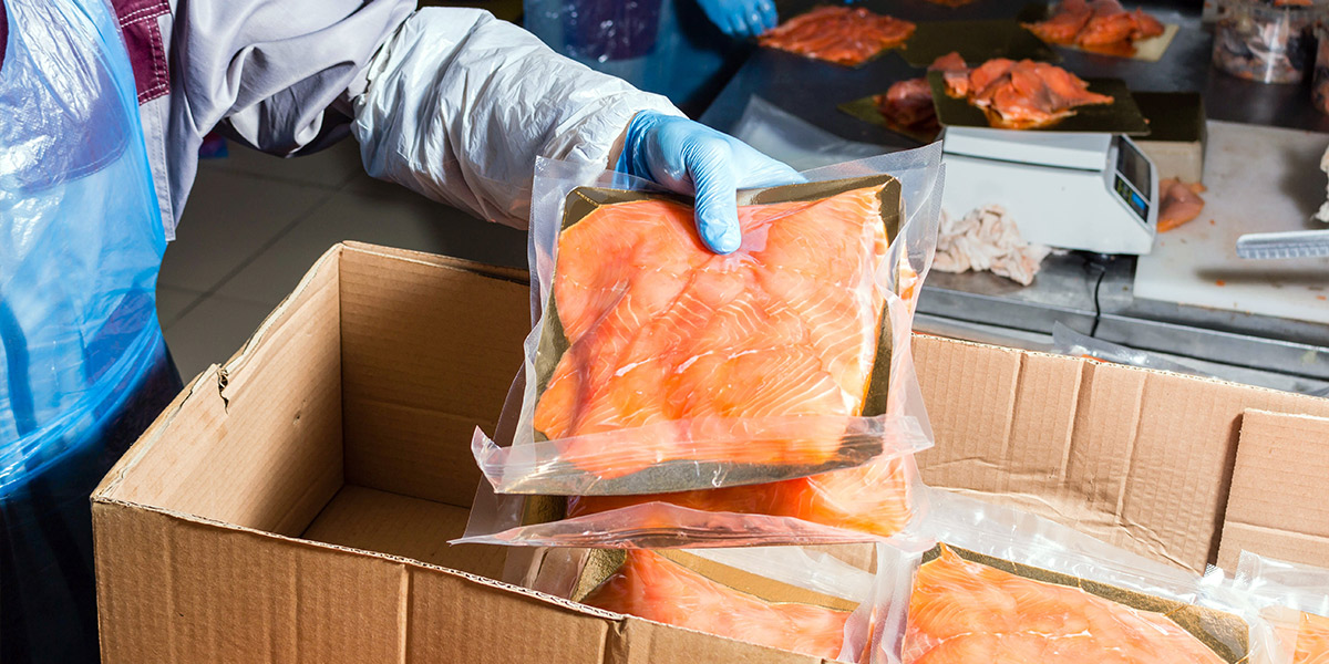 Food preparation worker puts the finished packaged fish product into a box for transportation.